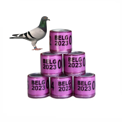 أربطة أرجل الحمام BELG 2023، عبوة من 10 قطع - حلقات أرجل الحمام