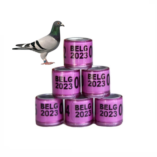 أربطة أرجل الحمام BELG 2023، عبوة من 10 قطع - حلقات أرجل الحمام