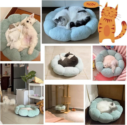 Green Plush Pet Bed Medium 53.79cm – Ultra Soft Synthetic Fur Dog & Cat Bed with PP Cotton Filling | Comfortable Breathable Pet Cushion UAE