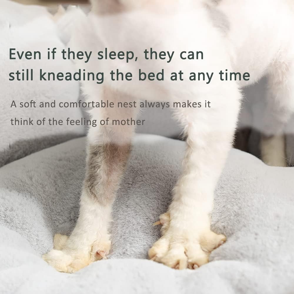 Green Plush Pet Bed Medium 53.79cm – Ultra Soft Synthetic Fur Dog & Cat Bed with PP Cotton Filling | Comfortable Breathable Pet Cushion UAE