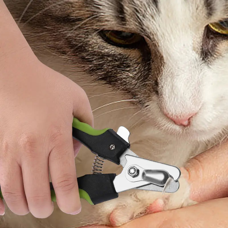 Premium Pet Nail Clipper for Cats and Dogs – Safe, Sharp & Easy Grooming Tool Pets971.com