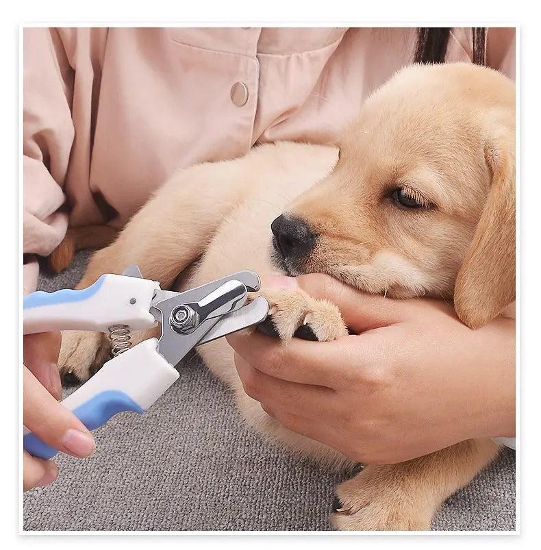 Premium Pet Nail Clipper for Cats and Dogs – Safe, Sharp & Easy Grooming Tool Pets971.com