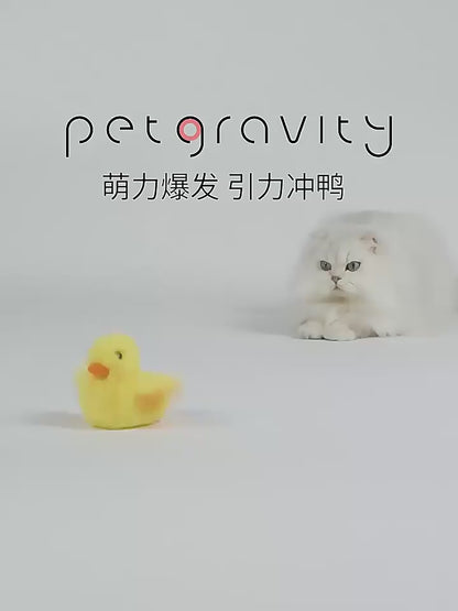 Interactive Cat Toys, Wing Flapping Duck Cat Toys, Rechargeable Bird Flapping Toys，Kittens Teasing String and Simulated Sound for Indoor Cats Fun Exercise (Duck)