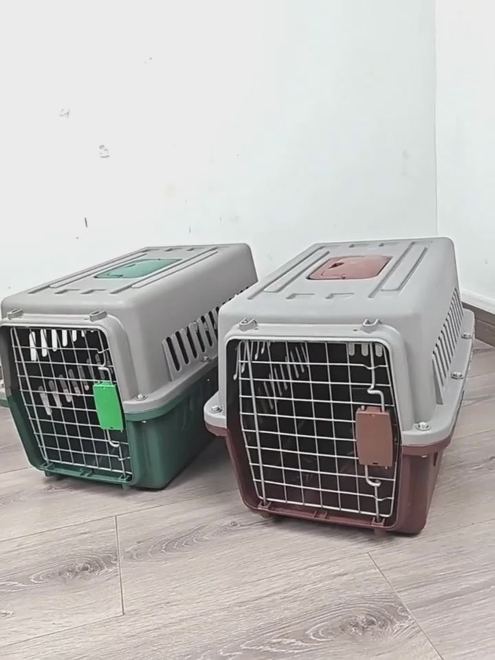 温室・飼育ケース 17 フラット飼育ケース PW－06FB【りかなび】ケニス株式会社