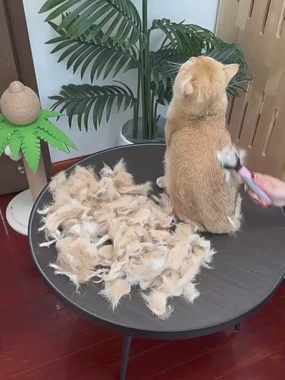 Premium Pet Hair Shedding Tool for Cats & Dogs – Gentle Deshedding Brush (Includes SEO for Pet Nail Clipper for Cats and Dogs)